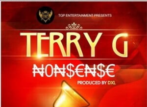 TerryG NonsenseMp3 300x220 - Terry G - Nonsense | Mp3
