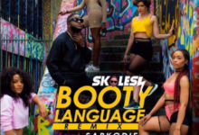 Skales ft. Sarkodie - Booty Language